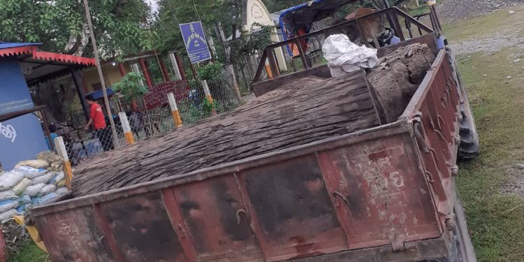 अबैध रुपमा सखुवाको गोलिया सहित ट्याक्टर नियन्त्रणमा