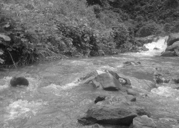 उदयपुरमा एकै परिवारका तीनजनाको हत्या, हत्या आरोपमा एकजना पक्राउ