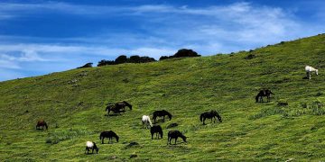 पर्यटकको पर्खाइमा भोजपुरको मुन्धुम पदमार्ग (फोटोहरूसहित)