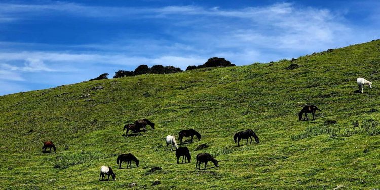 पर्यटकको पर्खाइमा भोजपुरको मुन्धुम पदमार्ग (फोटोहरूसहित)