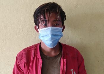 पाँचथरमा भरुवा बन्दुकसहित पक्राउ