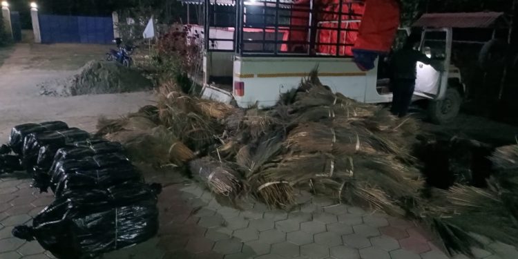 सुनसरीको देवानगंजबाट ३ सय ५० के जी गाँजा बोकेको पिकअप गाडीसहित दुई प्रकाउ