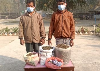गाँजासहित दुई पक्राउ