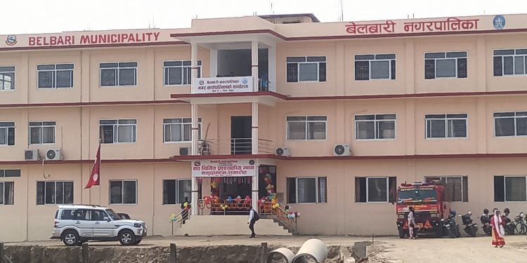 बेलबारीमा आइतबारदेखि जग्गाको कित्ताकाट खुल्ने
