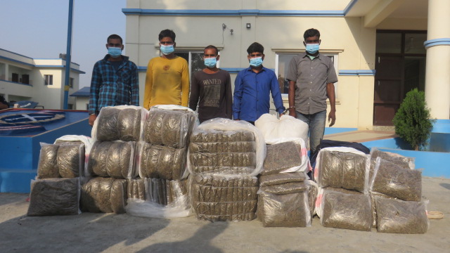 मोरङमा गाँजासहित पाँचजना पक्राउ