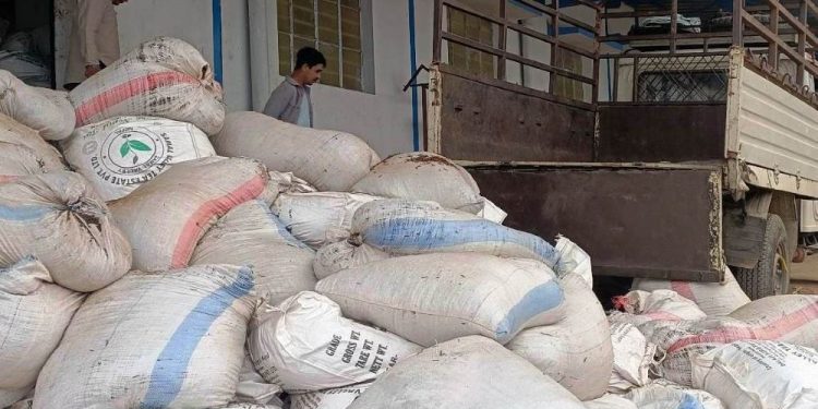 इलाममा गुणस्तरहीन चिया नष्ट