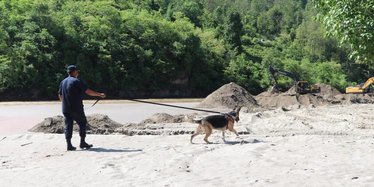 बाढीपहिरोमा परी बेपत्ता भएकाको खोजी गर्न तालिम प्राप्त कुकुरसहितको प्रहरी टोली परिचालन