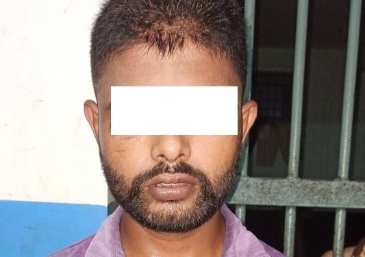 चोरी मुद्दाका फरार प्रतिवादी पक्राउ