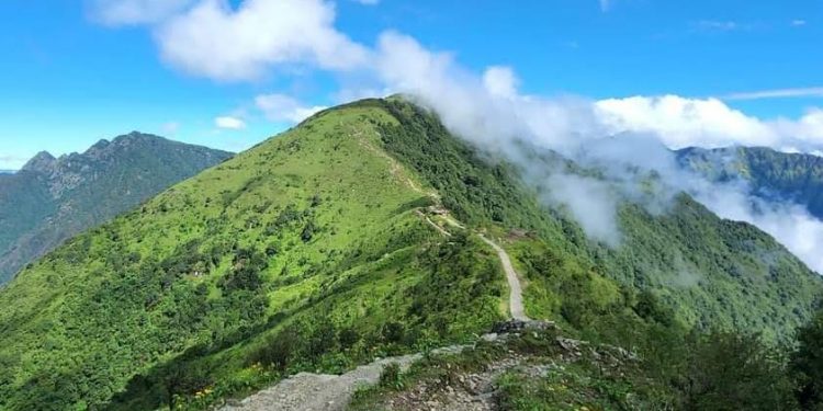 भोजपुरको हतुवागढीमा पदमार्ग निर्माण गरिँदै