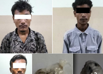 ब्राउनसुगरसहित तीनजना पक्राउ