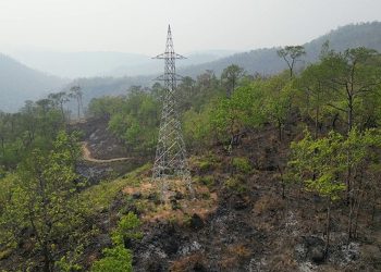 विद्युत् विस्तारले दैनिकीमा सहज
