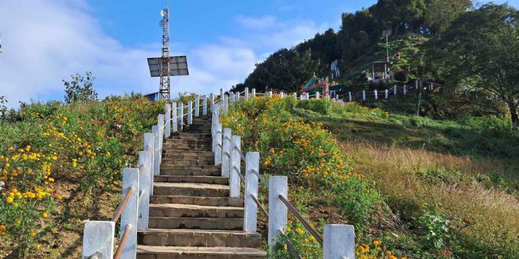 खोटाङ : मझुवागढीलाई ‘फूलैफूलको पहाड’ बनाउने अभियान