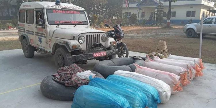 सुनसरीको बराहक्षेत्रमा एम्बुलेन्सबाट गाँजा तस्करी, २६६ केजी बरामद