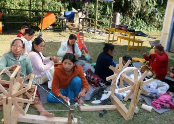 ताप्लेजुङ : आम्दानीको स्रोत बन्दै ‘अल्लो’