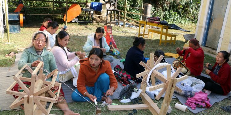 ताप्लेजुङ : आम्दानीको स्रोत बन्दै ‘अल्लो’