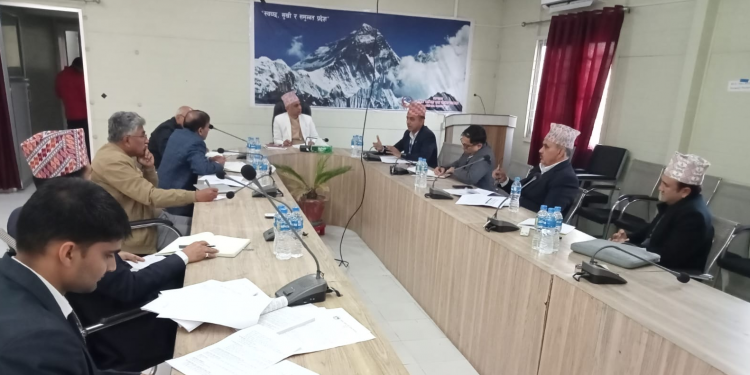 संघीय सरकार मोटाउने कर प्रणालीले प्रदेश सरकार आत्मनिर्भर बन्न सक्दैन : कार्की