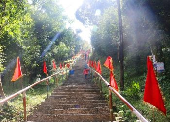 पाथीभरा क्षेत्रका ‘साइन बोर्ड’ हटाउन निर्देशन