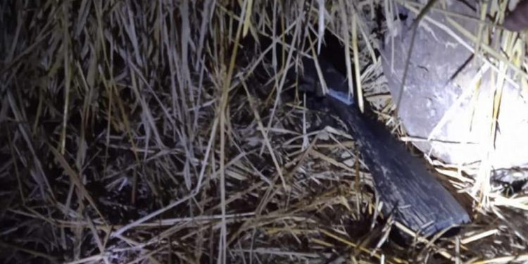 मोरङमा भरुवा बन्दुक बरामद, वन्यजन्तुको सिकारी गर्ने समूह फरार