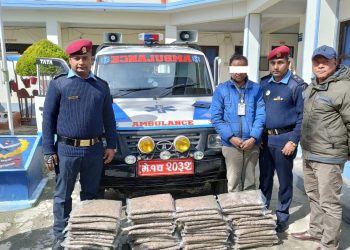एम्बुलेन्सको प्रयोग गरी गाँजा ओसारपसार, ५२ केजी गाँजासहित एक पक्राउ