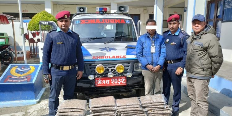 एम्बुलेन्सको प्रयोग गरी गाँजा ओसारपसार, ५२ केजी गाँजासहित एक पक्राउ