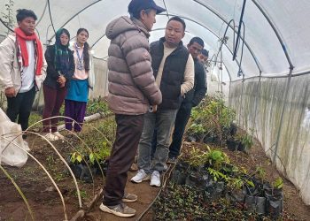 थुलुङ दूधकोशीमा कफीको न्यूनतम समर्थन मूल्य निर्धारण