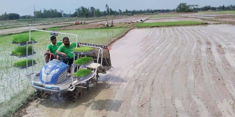 चैते धानखेतीतर्फ झापाका किसानको आकर्षण