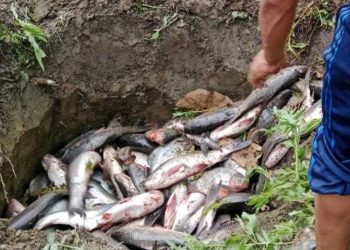 झापामा ४ सय ५० केजी माछा बरामद