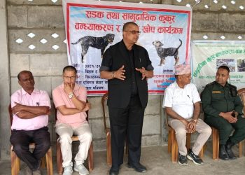 विराटनगरमा कुकुरको बन्ध्याकरण सुरु