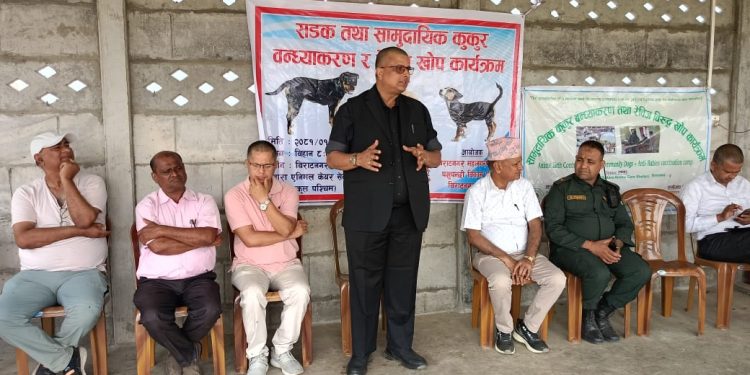विराटनगरमा कुकुरको बन्ध्याकरण सुरु