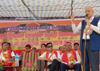 स्थिर सरकार बिना मुलुकको आर्थिक विकास असम्भव : डा. कोइराला