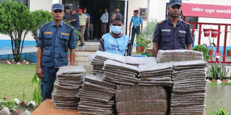 मोरङमा दुई सय १८ केजी गाँजासहित एक पक्राउ