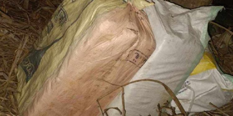 सुनसरीमा एक क्विन्टल गाँजा बरामद