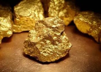 पाँचथर : चोरले एक तोला सुन निलेपछि…