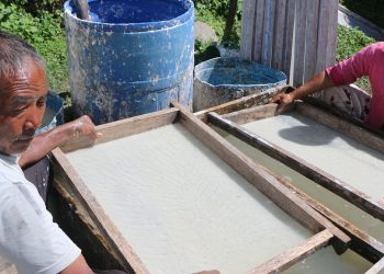 नेपाली कागजबाट मासिक एक लाख आम्दानी लिँदै पासाङ