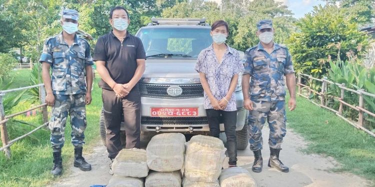 सुनसरीबाट एक क्विन्टल गाँजासहित दुई पक्राउ