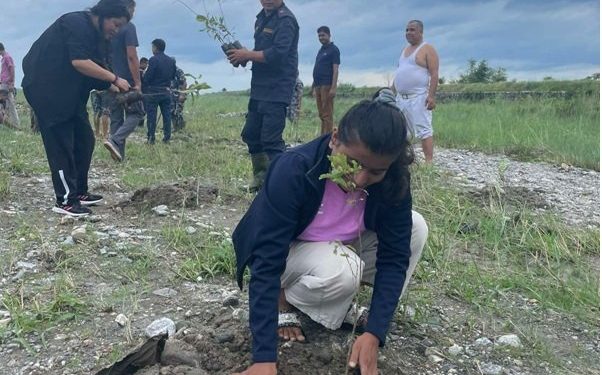 झापामा पर्यावरण संरक्षण गर्न वृक्षारोपण