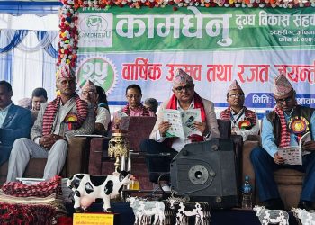 कामधेनुले मनायो रजत जयन्ती