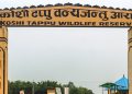 कोशी टप्पु वन्यजन्तु आरक्षबाट ४० लाख राजस्व संकलन