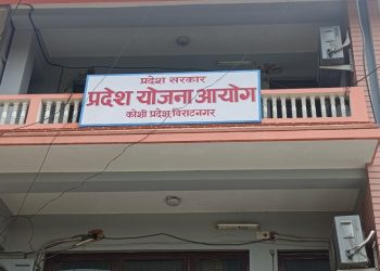 कोशीमा आवधिक योजना सार्वजनिक