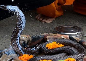 नाग पूजा गरी मनाइँदै नागपञ्चमी