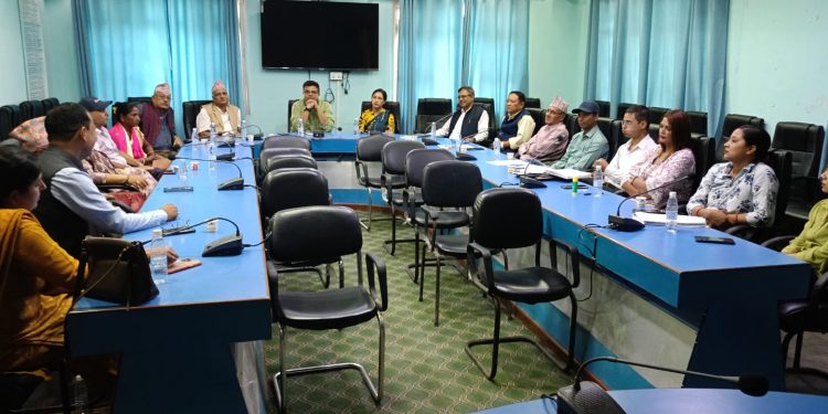 १७ वटा बालविकास केन्द्रलाई समायोजन गर्ने विराटनगर महानगरको निर्णय