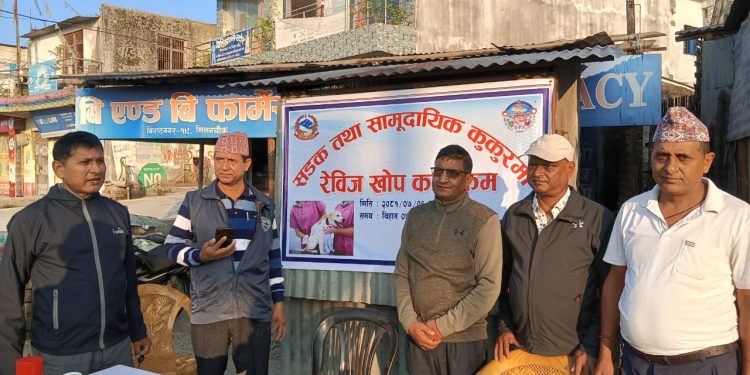 विराटनगरमा सडक तथा सामुदायिक कुकुरलाई रेविजविरुद्धको खोप लगाउन सुरु