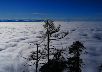 पाथीभरा पदमार्गबाट देखिएको दृश्य
