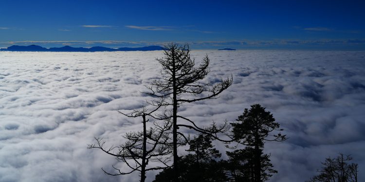 पाथीभरा पदमार्गबाट देखिएको दृश्य