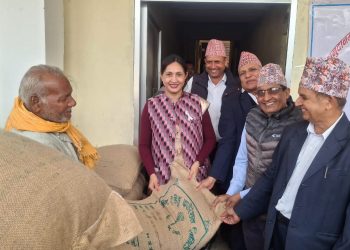 महानगरद्वारा ५० प्रतिशत अनुदानमा गहुँको बिउ वितरण