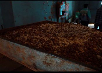 इटहरीमा कनिका मिसाएर बेसार पिस्ने मिलमा उपमहानगरले लगायो ताला