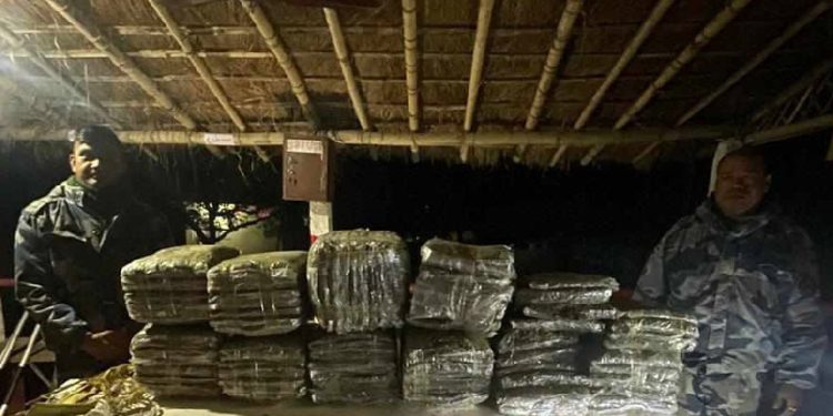 सुनसरीको बराहक्षेत्रमा ९७ केजी गाँजा बरामद