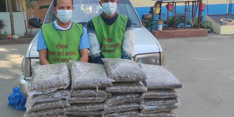 धरानमा गाँजासहित दुई पक्राउ