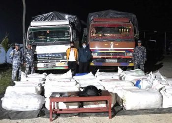 झापामा ६३६ किलो गाँजासहित दुई पक्राउ