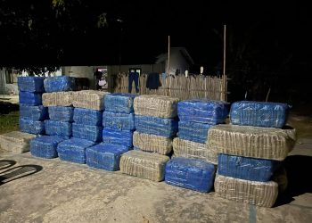 उदयपुरमा झण्डै ९ सय केजी गाँजा बरामद